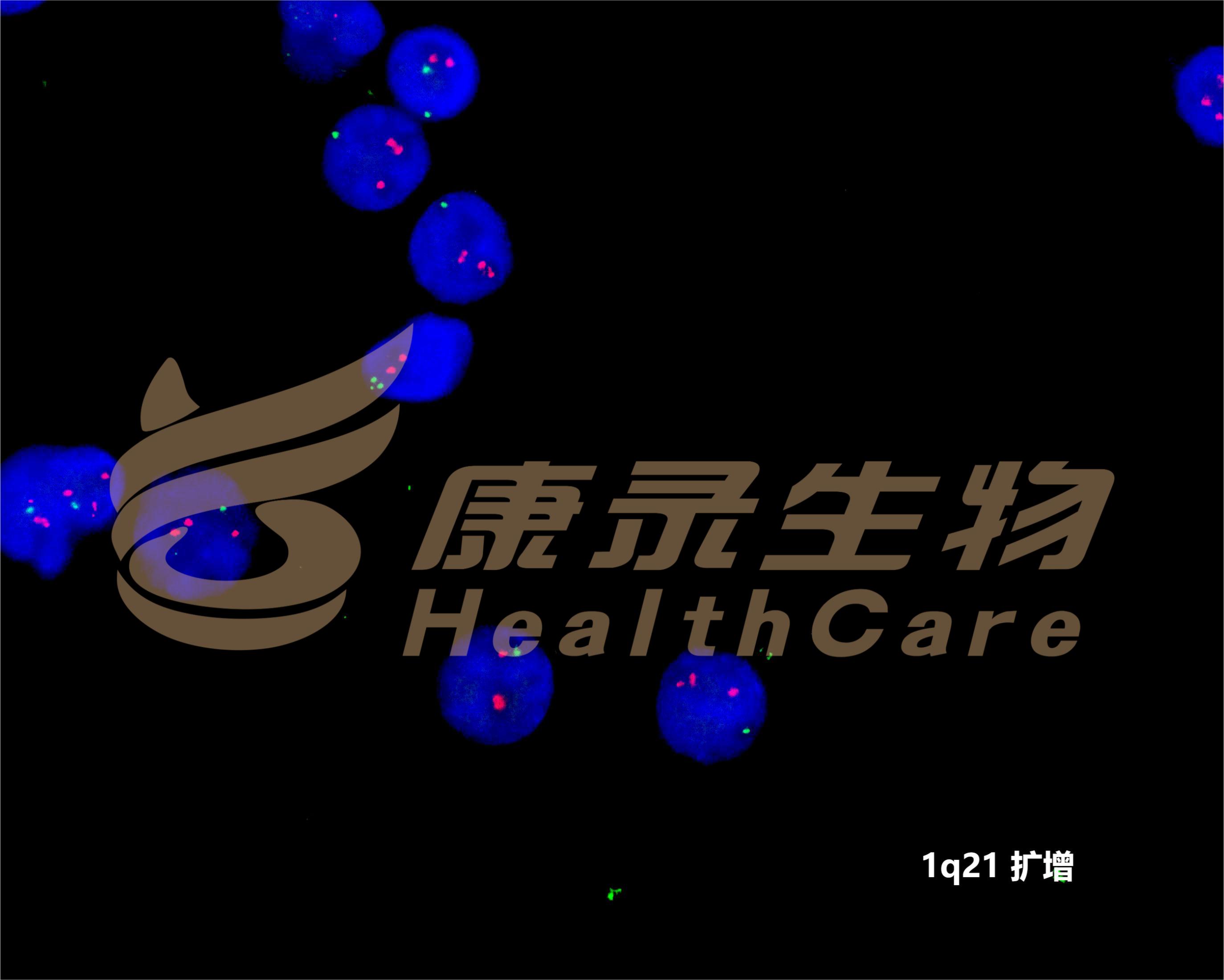 中国·拉斯维加斯(3499·官方认证)网站-Officialwebsite